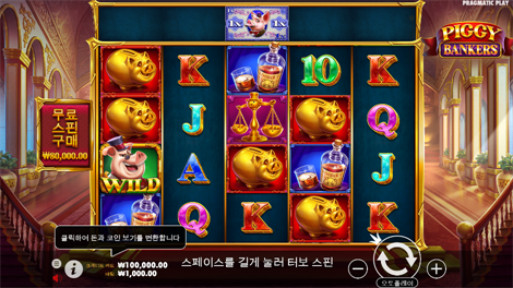 소닉카지노 불법